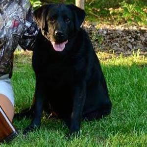 Meet your Posher, Sheila